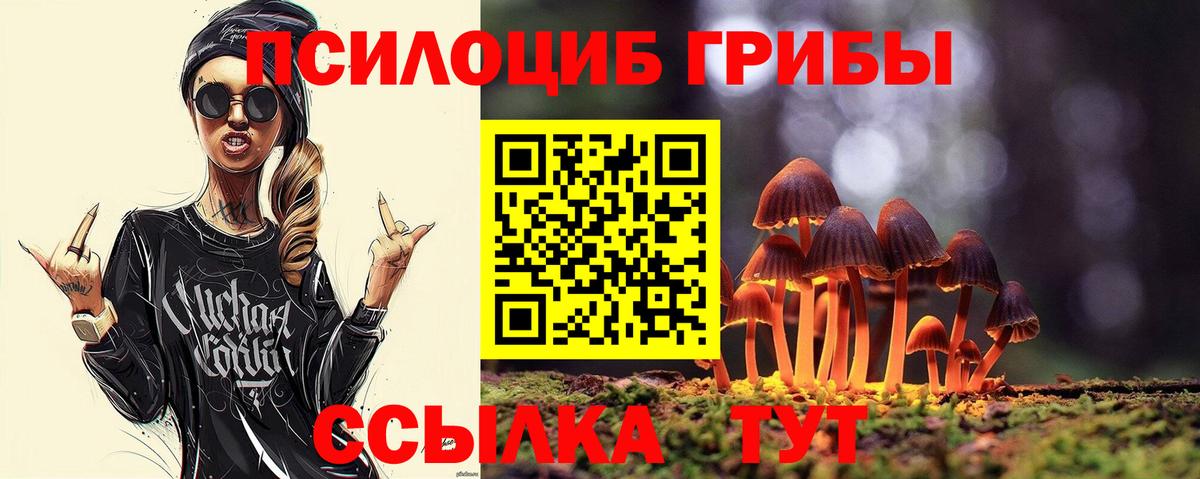 Галлюциногенные грибы GOLDEN TEACHER Обь
